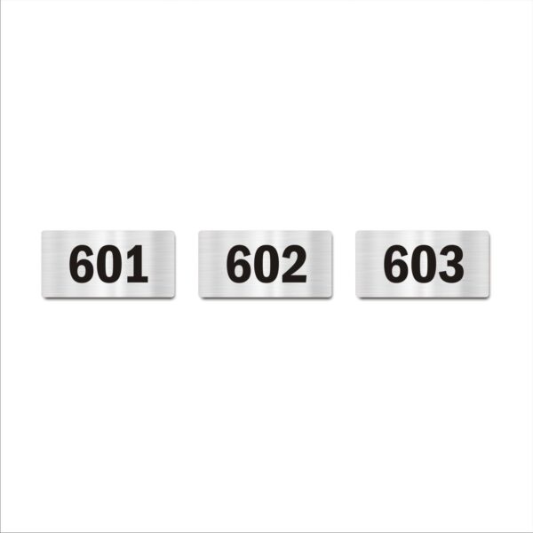 Door Numbers 601 to 603 Acrylic Board Medium Silver Color 2mm Thick 6 x 3 Inches Pack of 3 Suitable for Sixth Floor Buildings, Flats, Apartments, Racks, Shelfs for Arranging | Mindcraftz